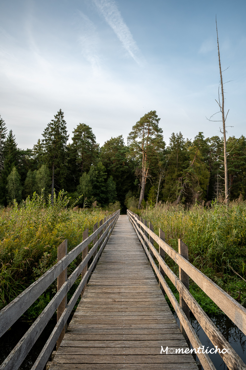 Unterwegs im Pfunger-Burgweiler-Ried (Nikon Z50II & Viltrox 15 mm F/1.7 Air)