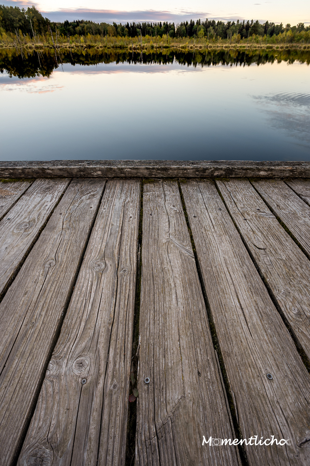 Auf dem Steg im Schwenninger Moos (Nikon Z50II & Nikkor Z DX 12-28 mm F3.5 - 5.6 PZ)